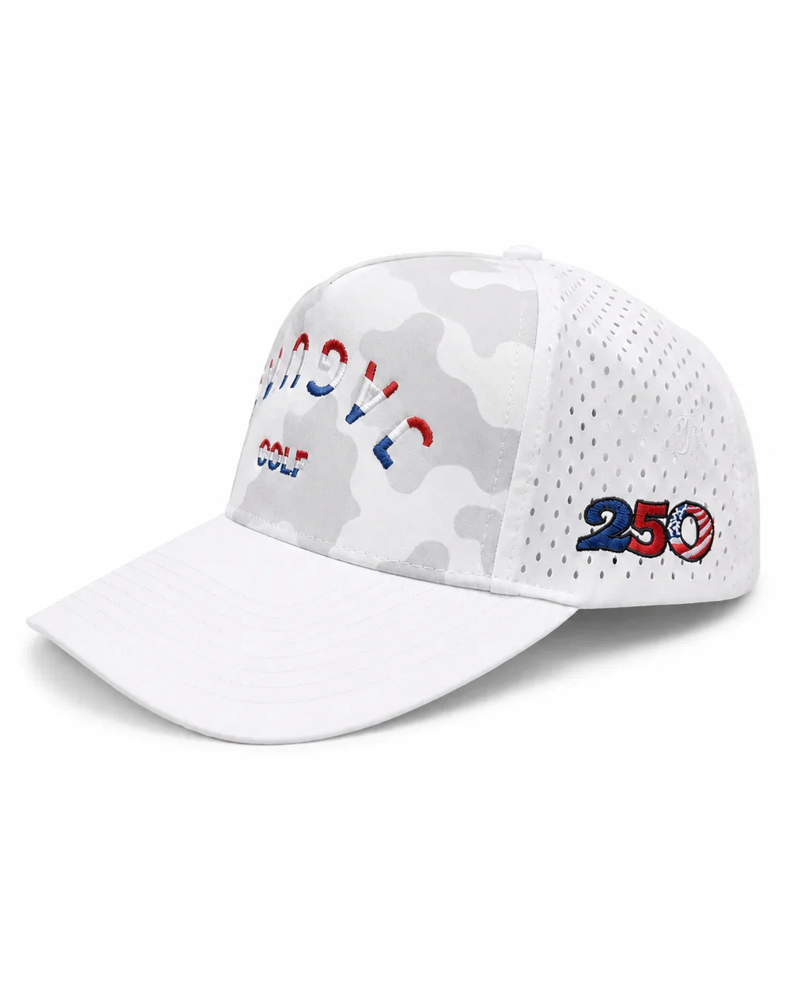 250th Anniversary Camo Hat